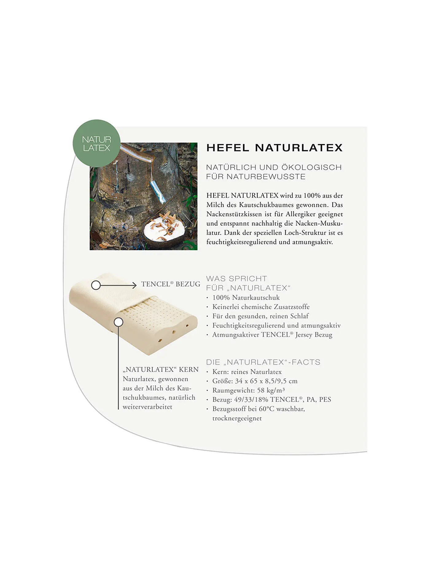 HEFEL | Nackenstützkissen "Naturlatex" 34x65cm | 